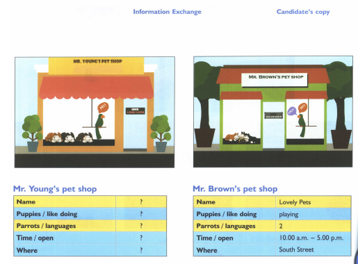 Đề thi Flyers - Speaking phần 2: Trao đổi thông tin, bản của thí sinh